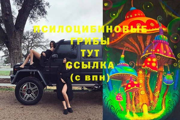 крисы Абаза