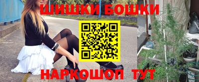 гашик Новодвинск