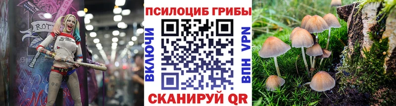 Галлюциногенные грибы Cubensis Янаул