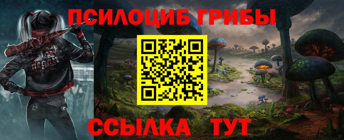 Янаул  Псилоцибиновые грибы прущие грибы  Вход с VPN  Псилоцибиновые грибы Cubensis 